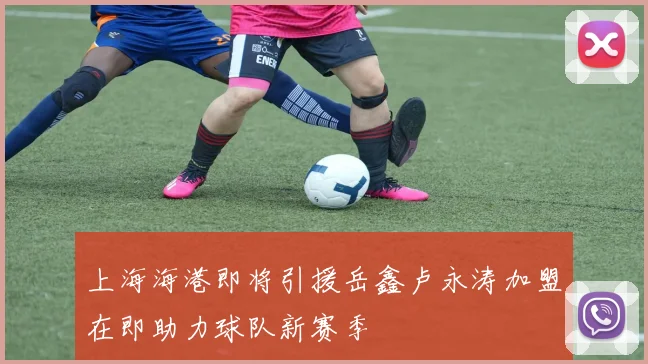 上海海港即将引援岳鑫卢永涛加盟在即助力球队新赛季
